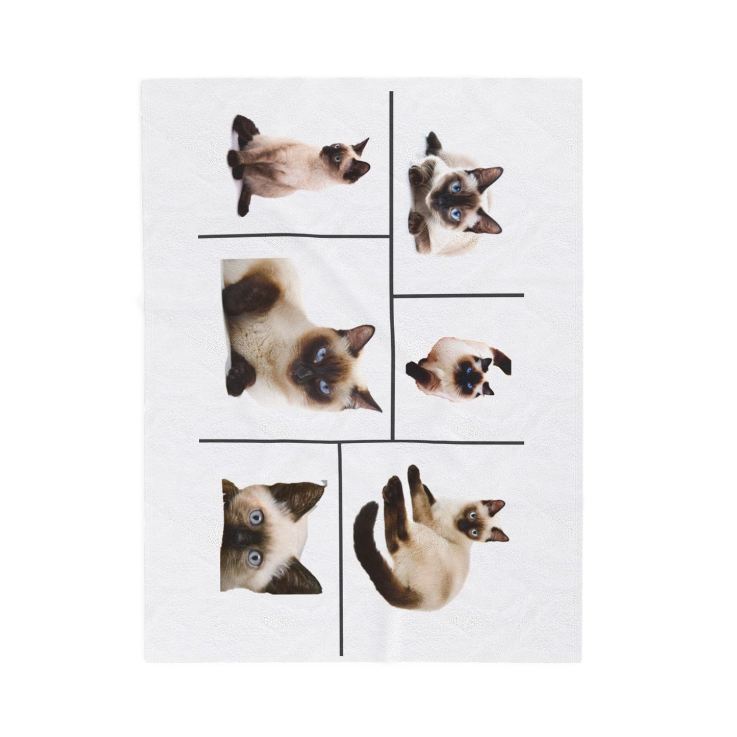 Velveteen Plush Blanket with images of Siamese cats