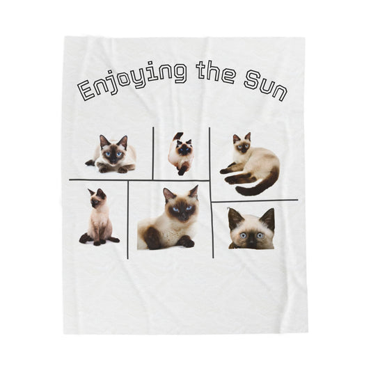 Velveteen Plush Blanket with images of Siamese cats