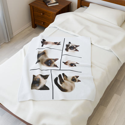 Velveteen Plush Blanket with images of Siamese cats
