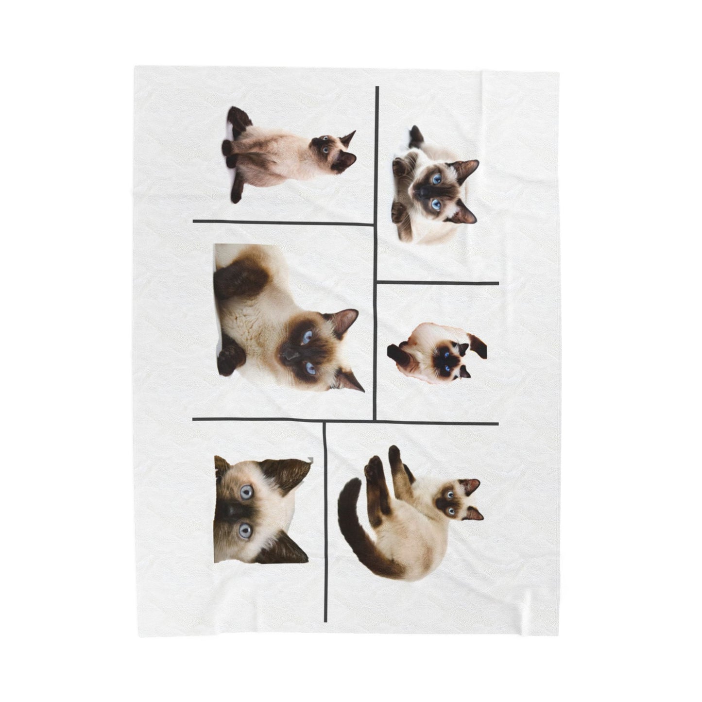 Velveteen Plush Blanket with images of Siamese cats