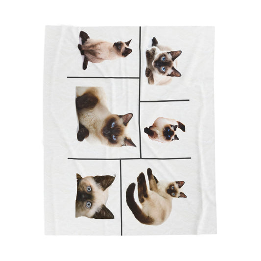 Velveteen Plush Blanket with images of Siamese cats