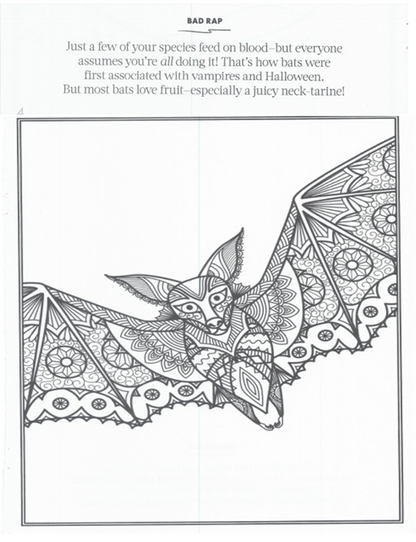 Halloween Coloring Book  - This is a digital product