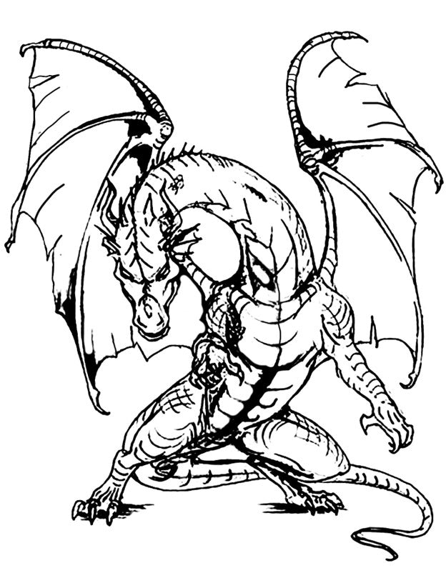 Dragon Coloring Book - 32 pages - This is a digital product